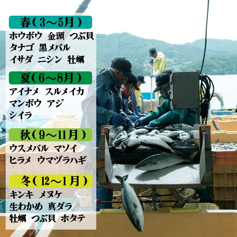 お届けの一例です。魚種の指定はできません