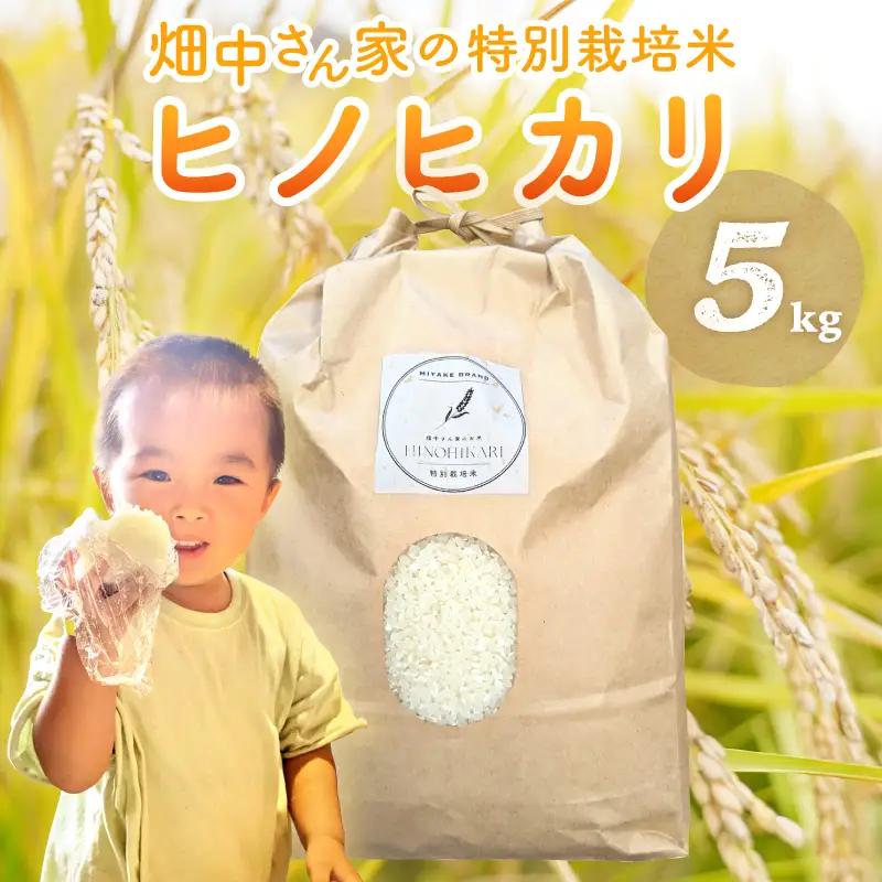 特別栽培米 減農薬 畑中さんの ひのひかり 白米 5kg ヒノヒカリ 奈良県 三宅町