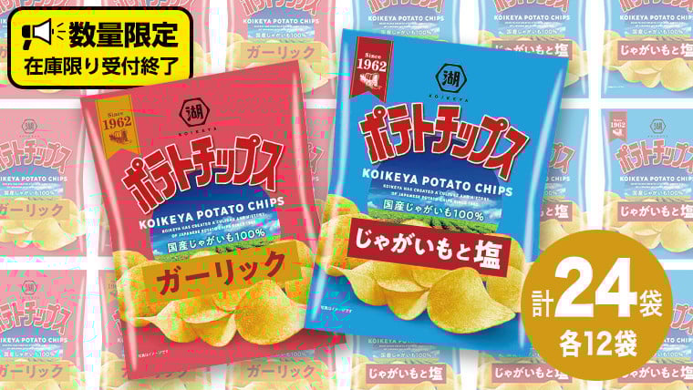 
            【12/21入金確認分まで年内お届け】湖池屋 ポテトチップス 2種類アソート （じゃがいもと塩・ガーリック）（各12袋・計24袋） ポテチ お菓子 おかし 大量 スナック おつまみ ジャガイモ じゃがいも まとめ買い スナック菓子 数量限定
          