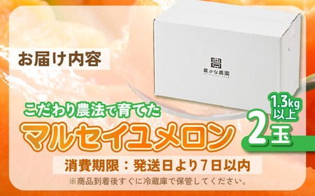 【先行予約】 安心安全！減農薬！こだわり農法で育てたマルセイユメロン 2玉 (1玉あたり：1.3kg以上) 【2026年6月中旬以降順次発送予定】 【メロン めろん 赤肉 フルーツ デザート 果物 く