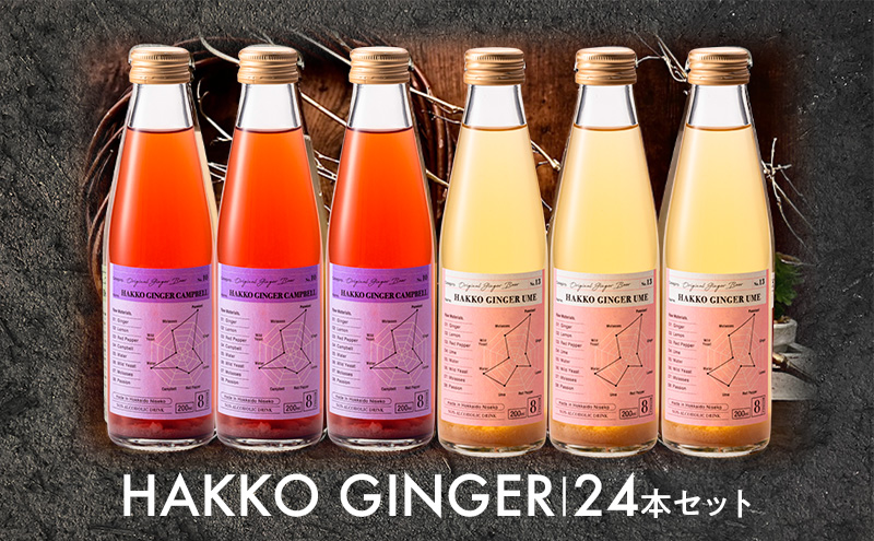 仁木産 グレープと梅を使ったジンジャービア 24本セット（各200ml×12本ずつ ） 北海道 キャンベル ウメ ジンジャー 飲料 ドリンク [株式会社デリシャスフロム北海道]