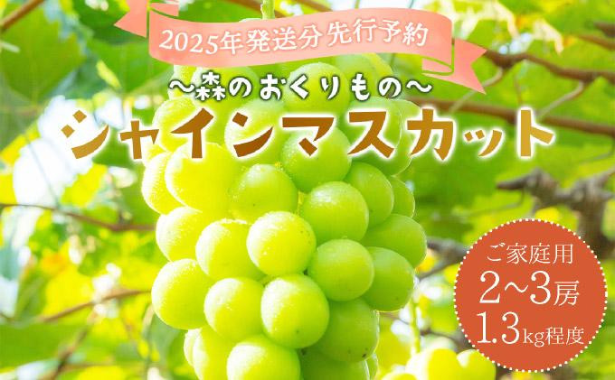 
            2025年発送分 先行予約＜～森のおくりもの～＞朝採り直送！シャインマスカット 1.3kg程度2～3房（ご家庭用）【025-a029】
          
