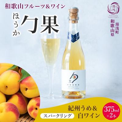 ふるさと納税 湯浅町 ワインカクテル スパークリング 勹果 ほうか 紀州うめ&amp;白ワイン 375ml 2本 湯浅ワイナリー