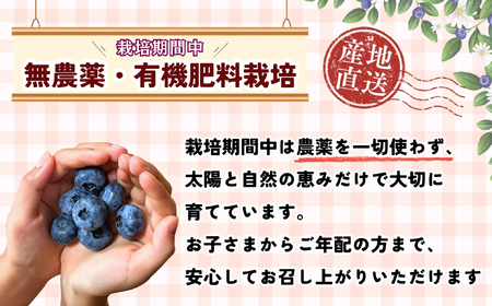 【先行予約】無農薬 完熟ブルーベリー姫[冷凍]１kg(2025年7月より発送） (7-A16)