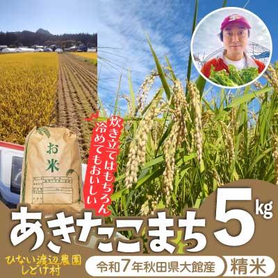 ふるさと納税 大館市 【令和7年産】秋田県産「あきたこまち」精米5kg(5kg×1袋)