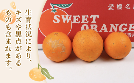 ネーブルオレンジ 5kg 準 贈答用 矢野青果 ネーブル オレンジ オレンジ みかん 柑橘 果物 くだもの フルーツ 濃厚 甘い 甘味 蜜柑 愛媛蜜柑 愛媛みかん mikan 贈答品 贈答 ギフト プ