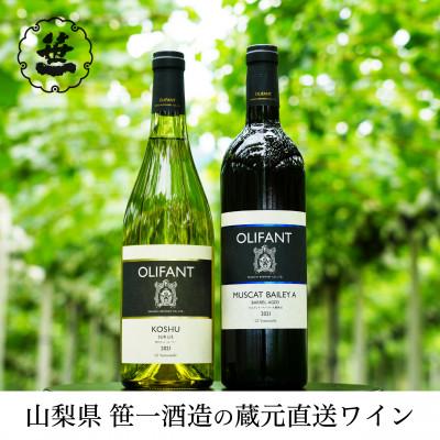 ふるさと納税 大月市 【蔵元直送】笹一酒造のOLIFANT(オリファン)ワイン&lt;甲州・MBA&gt;2本セット・山梨県大月市