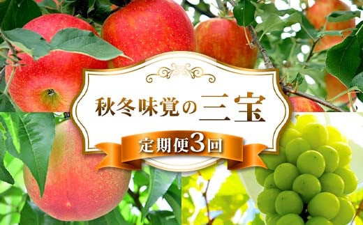 【2026年先行予約】秋冬味覚の三宝 白桃 シャインマスカット りんご FSY-2547