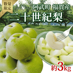 【先行予約】福賀の二十世紀梨 約3kg（7玉）【2026年8月下旬～9月中旬頃発送】