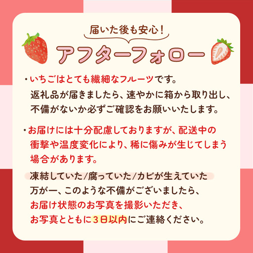 【先行予約】出会いの森いちご園 スカイベリー （290g×4パック） | いちご イチゴ 苺 栃木県 果物 くだもの フルーツ スカイベリー 新鮮 贈答 ギフト デザート スイーツ ※2026年12月