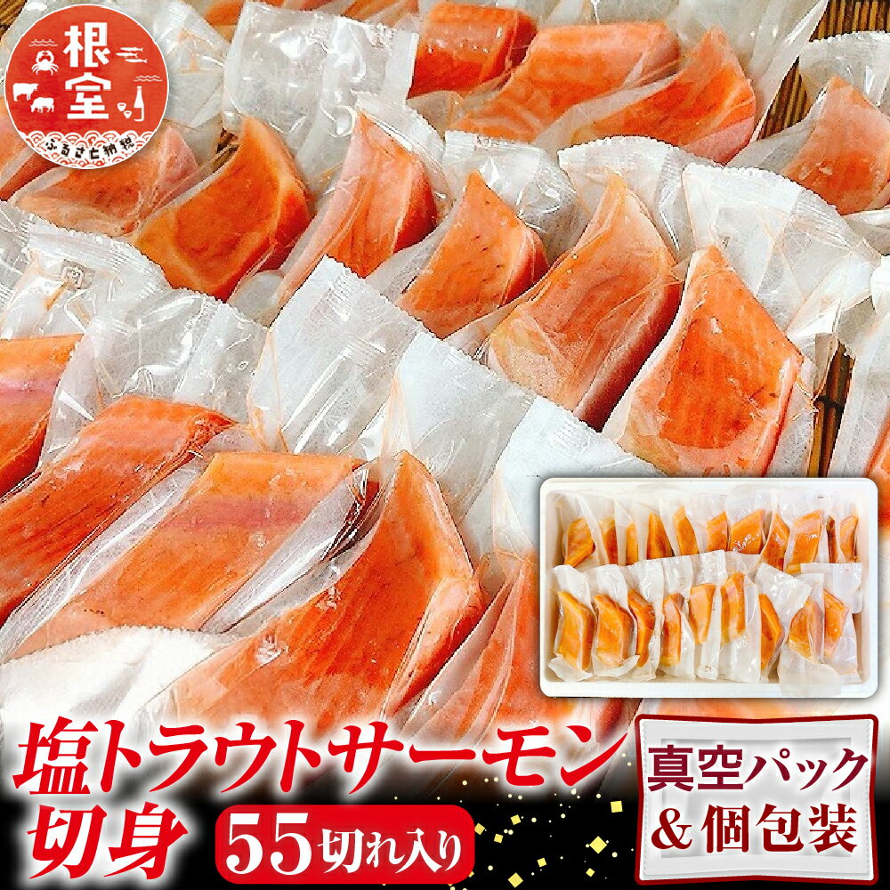 【ふるさと納税】 塩トラウトサーモン切身 1 切真空 × 55P 鮭 さけ サケ しゃけ シャケ 魚 さかな サカナ 真空 個包装 切り身 お取り寄せ グルメ 海鮮 北海道 根室市 ふるさと納税 B-09120