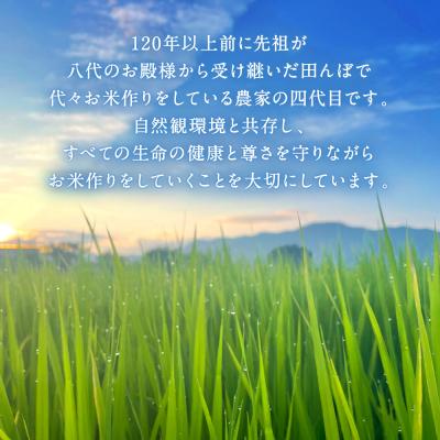 ふるさと納税 八代市 《令和7年産》 自然栽培米 くらら 精米 5kg (八代産ヒノヒカリ)_049-4068-C |  | 01