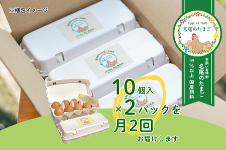 【定期便24回】国産飼料の平飼い有精卵「名尾のたまご」20個入 たまご 卵 玉子 タマゴ 生卵 新鮮：C210-003