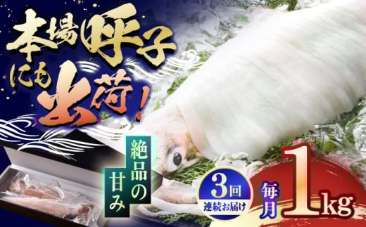 【全3回定期便】【美味しさそのまま瞬間冷凍】平戸極鮮ヤリイカ 約1kg 平戸市 / 海隆丸 [KAB267]