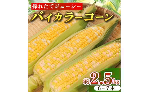 とうもろこし バイカラーコーン 6～7本 約2.5㎏ 糖度 17～20度 コーン 甘い 美味しい 野菜 バーベキュー 産地直送 新鮮 生鮮 食品 山本耕業 静岡県 牧之原市