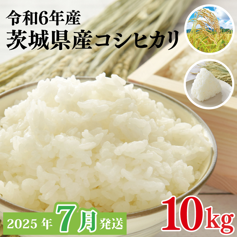 【2025年7月発送】★数量限定★令和6年 茨城県産コシヒカリ 10kg｜米 お米 こめ こしひかり コシヒカリ 数量限定 期間限定 令和6年産 茨城県産 行方市 人気 送料無料(CU-328)
