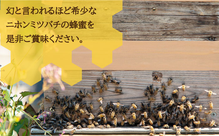 ニホンミツバチ 生蜂蜜 600g×1 《壱岐市》【憲ちゃんハチミツ】[JCL001] ハチミツ 蜂蜜 日本蜜蜂 29000 29000円
