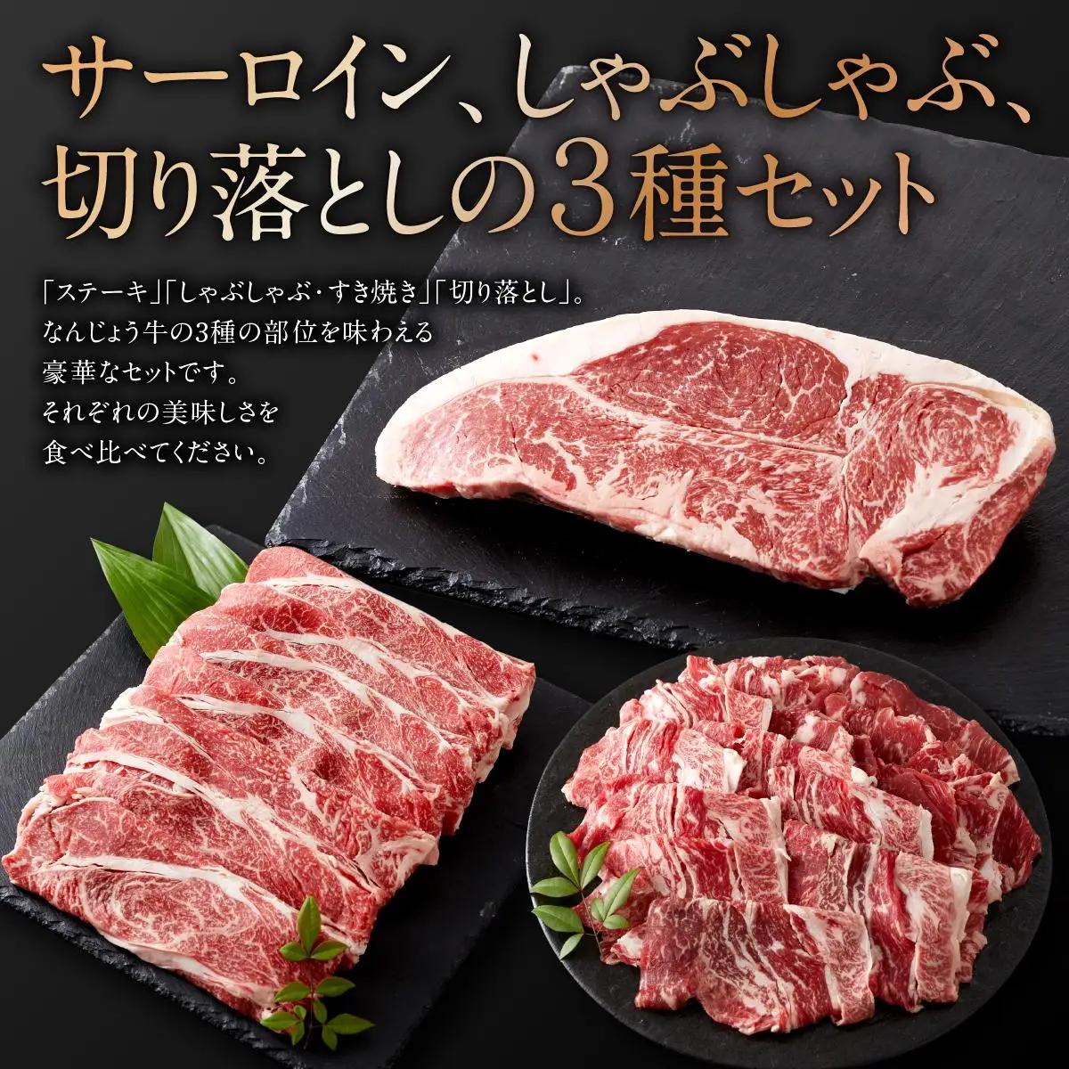 黒毛和牛　なんじょう和牛３種セット(約600g)   