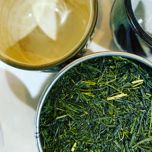 【価格改定予定】新茶 100g 3袋 合計300g 普通 煎茶 2023年産 農家直送 お茶 茶葉 静岡 