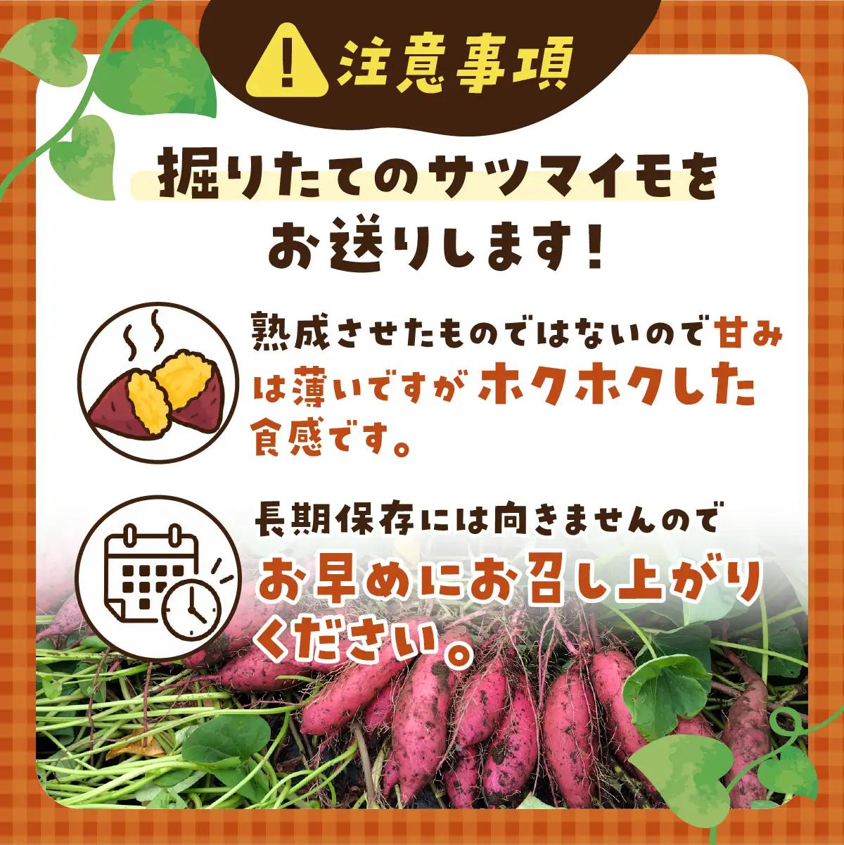 【訳あり】土付きさつまいも シルクスイート (無選別) 5kg | 新物 シルクスイート しるくすいーと