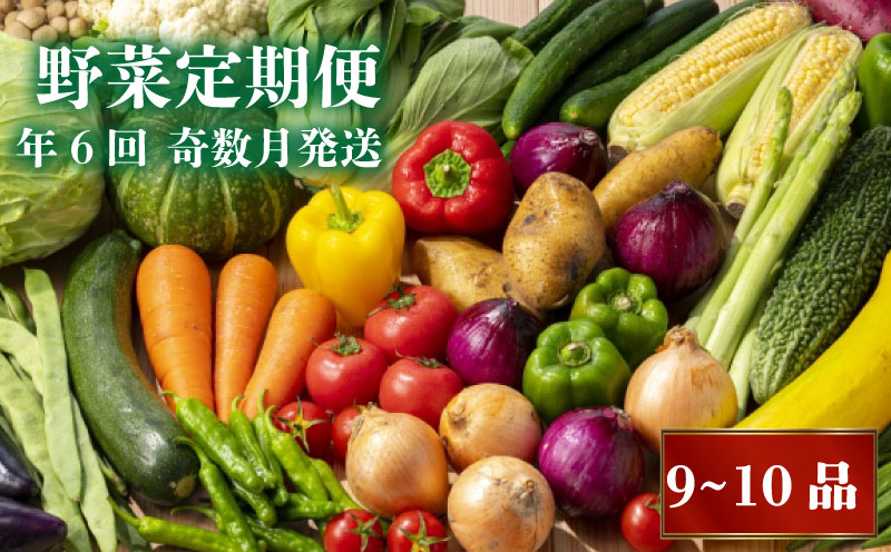 【野菜定期便】 定期便6回9～10種類程度 奇数月発送 2人暮らしにピッタリ南国土佐のお野菜食べきりサイズセット