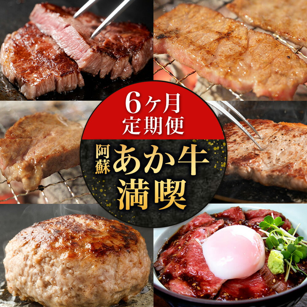 【ふるさと納税】【6ヶ月定期便】阿蘇あか牛満喫セット 株式会社LARKS《お申込み月の翌月から出荷開始》肉 牛肉 あか牛 ローストビーフ ハンバーグ 冷凍 名物 熊本県 毎月届く 送料無料