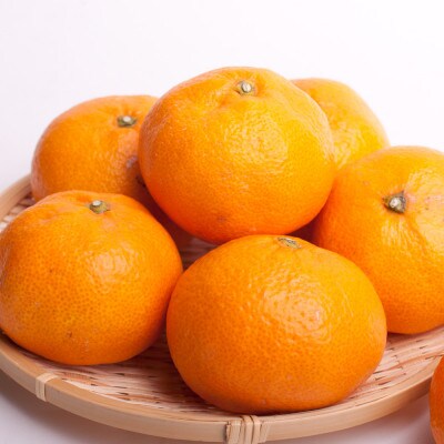 家庭用 大きな有田みかん1kg+250g(傷み補償分)【光センサー選果】【訳あり】【配送不可地域：離島・北海道・沖縄県】