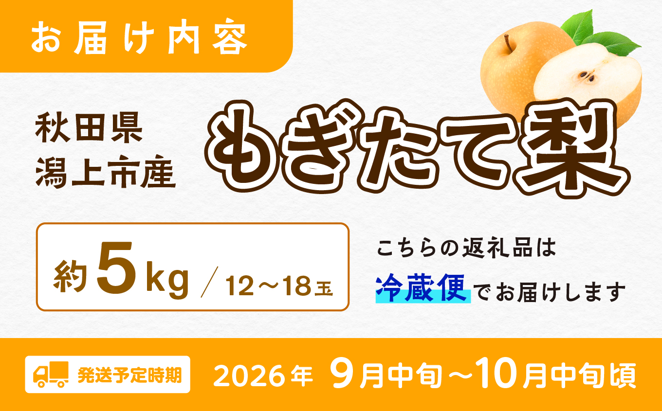 もぎたて梨 5kg 採れたて あきた梨 幸水 あきづき 南水 かおり 秋泉 秀玉 新星 新高 12~18玉前後 旬 果物 くだもの フルーツ なし 冷蔵 送料無料 お取り寄せ 秋田県産 秋田 潟上市 《9月中旬~10月中旬より順次発送》 【加賀谷農園】