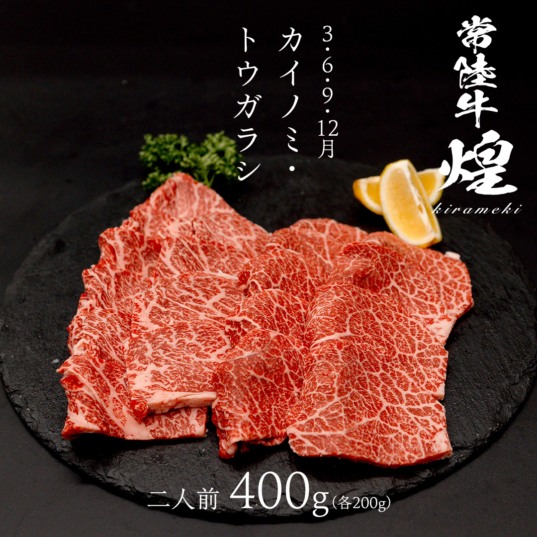 【定期便】＜全3回＞ 【 常陸牛 煌 】 焼肉 希少部位 堪能セット 約2人前 (茨城県共通返礼品)  牛肉 ブランド牛 きらめき 和牛 A5 黒毛和牛 国産黒毛和牛 国産牛 希少 贈答 ギフト [B