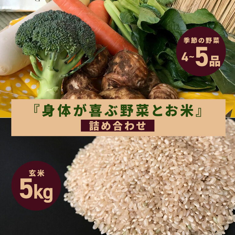 【ふるさと納税】 ＜玄米 5kg＞『身体が喜ぶ野菜とお米』詰め合わせ おまかせセット 茨城県産 コシヒカリ 米 お米 ご飯 ごはん 栽培期間中農薬不使用 季節の野菜 セット 微生物農法 EM農法 有機栽培 産地直送 新鮮 家庭用 潮来はぐくみのもり 茨城県 潮来市 (A03-003)