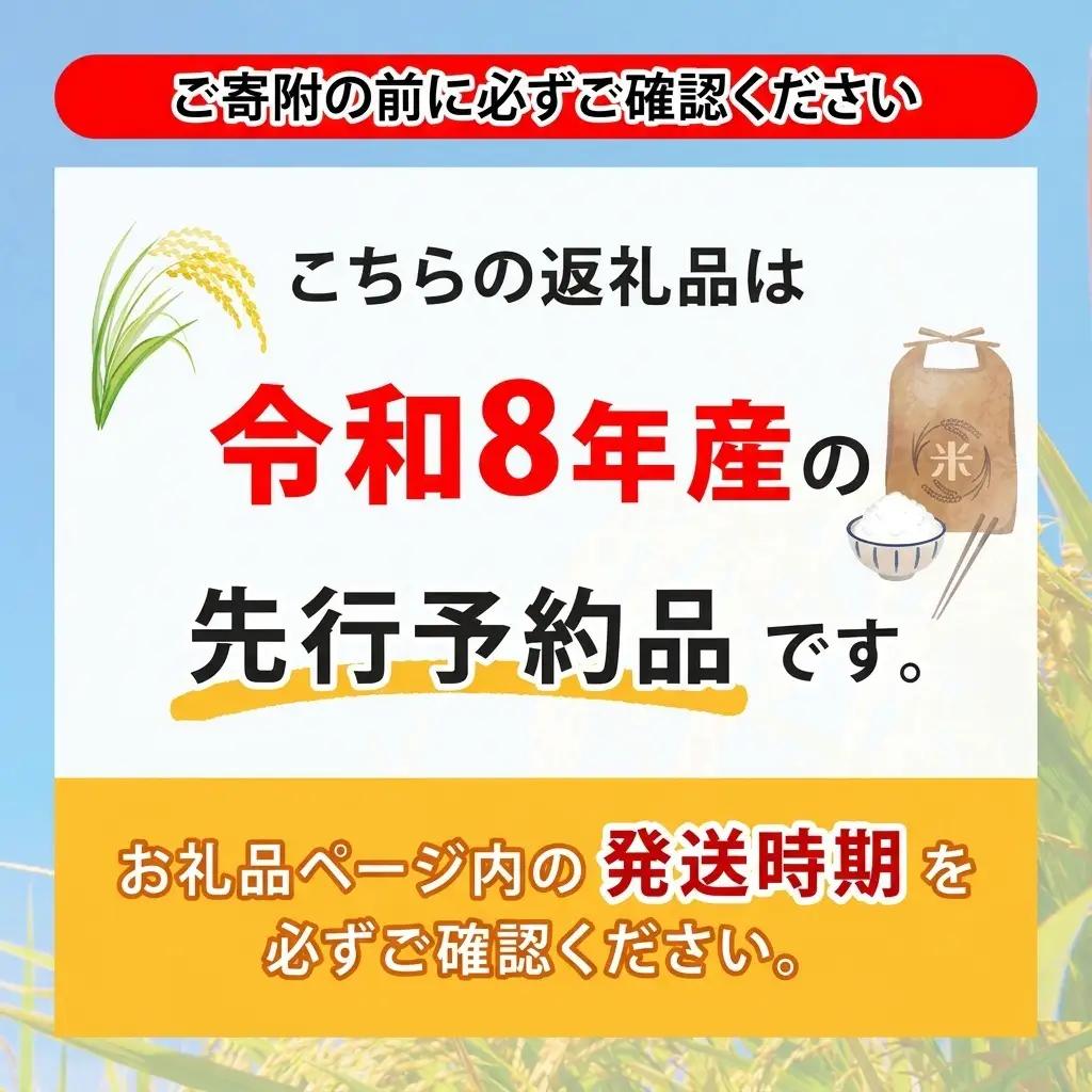 ななつぼし 無洗米 6kg 定期便 12回 令和8年産 お米 ななつぼし