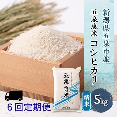 ふるさと納税 五泉市 【発送月固定定期便】【先行受付】特別栽培米コシヒカリ 精米 5kg(5kg×1袋)全6回