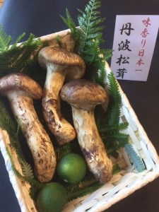 【数量限定】極上 丹波松茸 詰め合わせ＜京都・八光館＞松茸 松茸 松茸 松茸 松茸