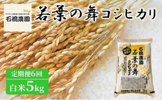 米 若葉の舞 コシヒカリ 白米5Kg 定期便6回 こしひかり お米 白米 定期便 精米 千葉 千葉県 低温保存 [№5346-0799]