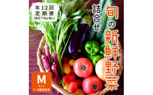 ＜発送月固定定期便＞大阪能勢産　べじたぶるぱーくの新鮮野菜詰合せMセット(7～8種類)　下旬全12回【4062842】