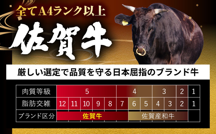 【全12回定期便】佐賀牛切り落とし800g【ミートフーズ華松】 [FAY063]