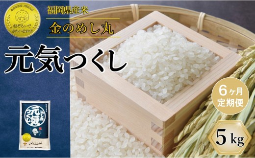 ＜全6回定期便＞令和8年米 福岡県産 米 金のめし丸元気つくし 5kg