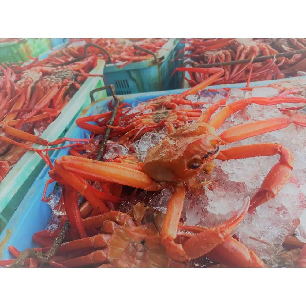 境港産 紅 ズワイガニ 計800g 脚肉500g 爪肉300g かに かに カニ 蟹 紅ズワイ カット むき身 ポーション  