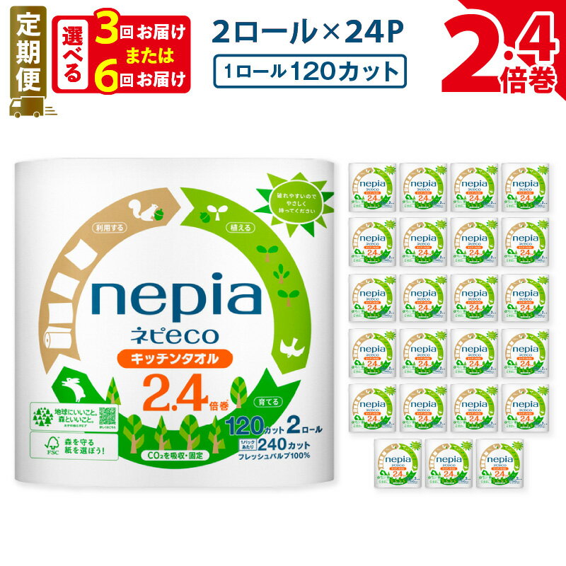 【ふるさと納税】 定期便 3回 or 6回 ネピア ネピeco キッチンタオル 2.4倍巻 計48ロール 紙包装 紙のまち 苫小牧 厚手 キッチンペーパー パルプ100 長持ち nepia 日用品 消耗品 まとめ買い 大容量 防災 備蓄 災害 開発ストア 北海道 おすすめ ランキング プレゼント ギフト