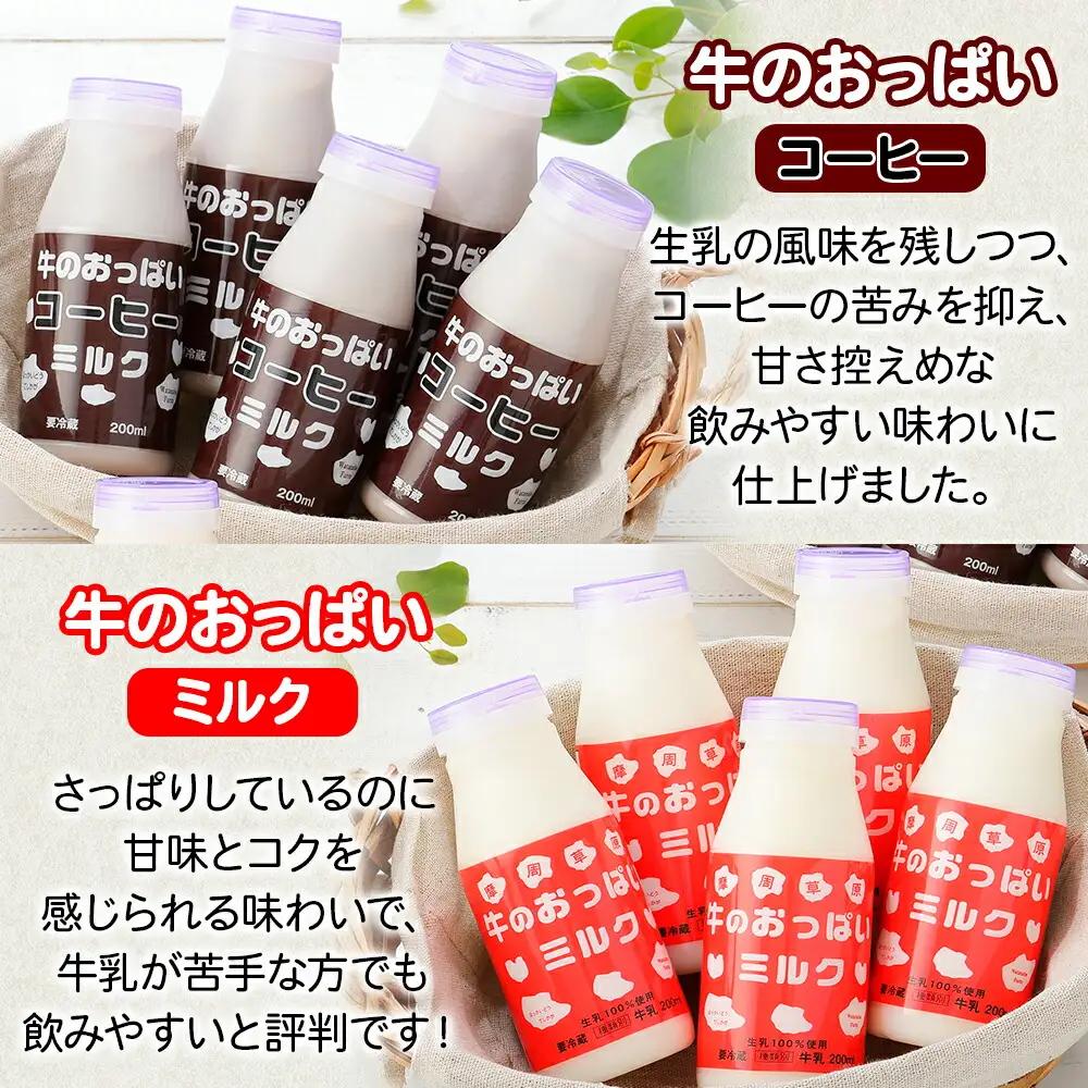 牛のおっぱいミルク 5本 コーヒーミルク5本 のむヨーグルト5本 計15本 おっぱいミルクキャンディー1個 セット 牛乳 生乳 ミルク 牛 酪農 飲料 しぼりたて 珈琲 ヨーグルト 飴 お取り寄せ ギ