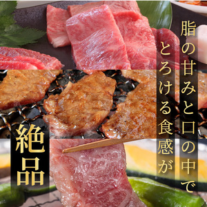 大浦和牛焼肉セット(1kg)《牛肉 牛 国産 焼肉 セット おすすめ ロース 美味しい 牛タン ハラミ ヒレ 食べ比べ バーベキュー》