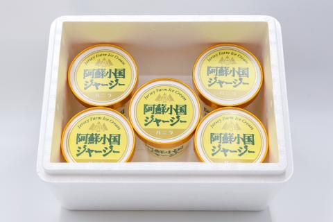 【阿蘇・小国郷特産】ジャージー牛乳アイス・パーティセット2.4L(バニラ480ml×5)