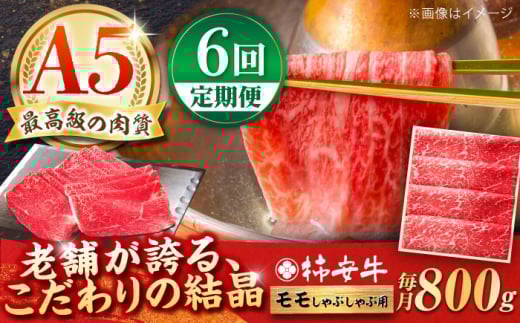 【6回定期便】最高級A5等級 三重県産 黒毛和牛 柿安牛 モモ 800g / 国産牛 ブランド牛 牛肉 冷蔵 / 亀山市 / 柿安本店 [AMBW013]