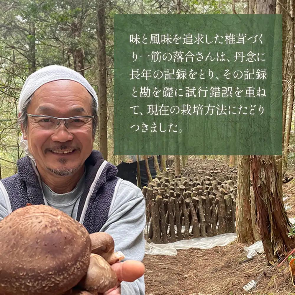 【お中元ギフト】	槻木産 中葉厚肉 乾燥椎茸 計300g (100g×3袋)  026-0573-c