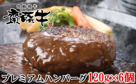 宮崎和牛「齋藤牛」ハンバーグ120g×6個セット＜1.2-60＞