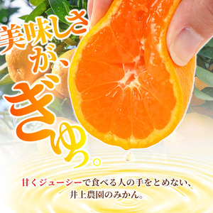 ＜先行予約受付中！1月上旬より順次発送予定＞数量限定 大分県宇佐市産 温州みかん(約10kg)みかん ミカン 蜜柑 柑橘 フルーツ 果物 くだもの 果実 国産【103620700】【井上農園】