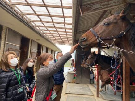 【引退競走馬支援!】サラブリトレーニング施設見学＆記念グッズセット【1人分】