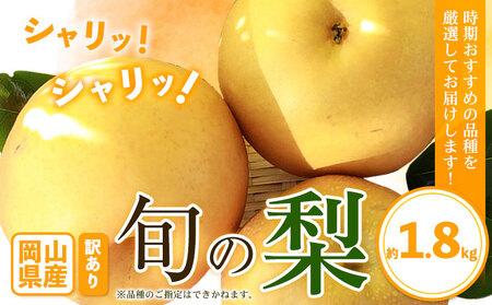 梨 訳あり 旬の梨 約1.8kg《9月上旬-1月末頃出荷予定》｜梨梨梨梨