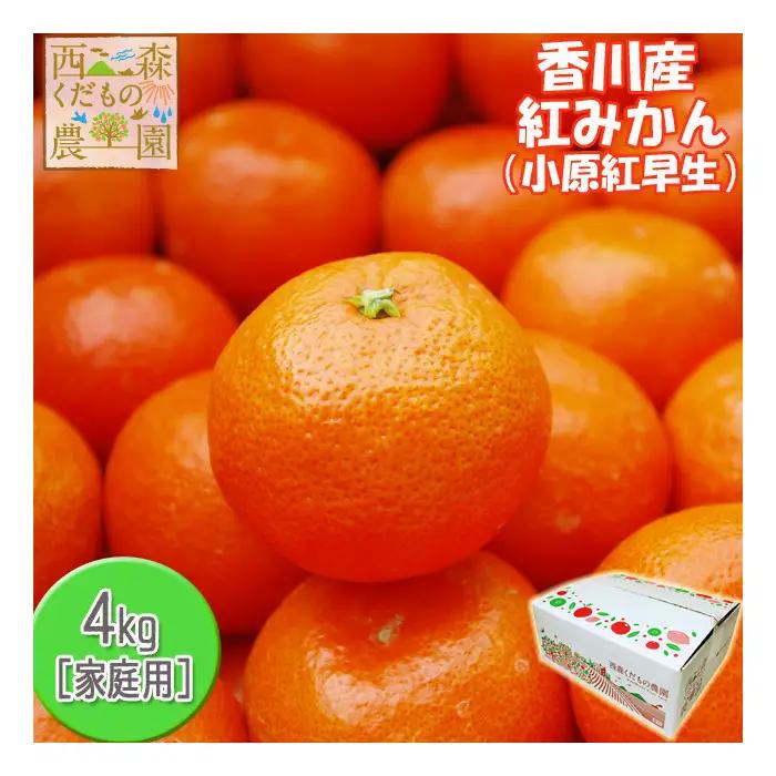 『2026年12月より順次発送』香川オリジナル品種「紅みかん(小原紅早生)」4kg