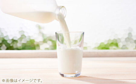 牛乳 ブラウンスイス牛乳500ｍl 3本セット [AIBH032]